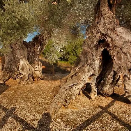 Casa Liberta Casa rural *
